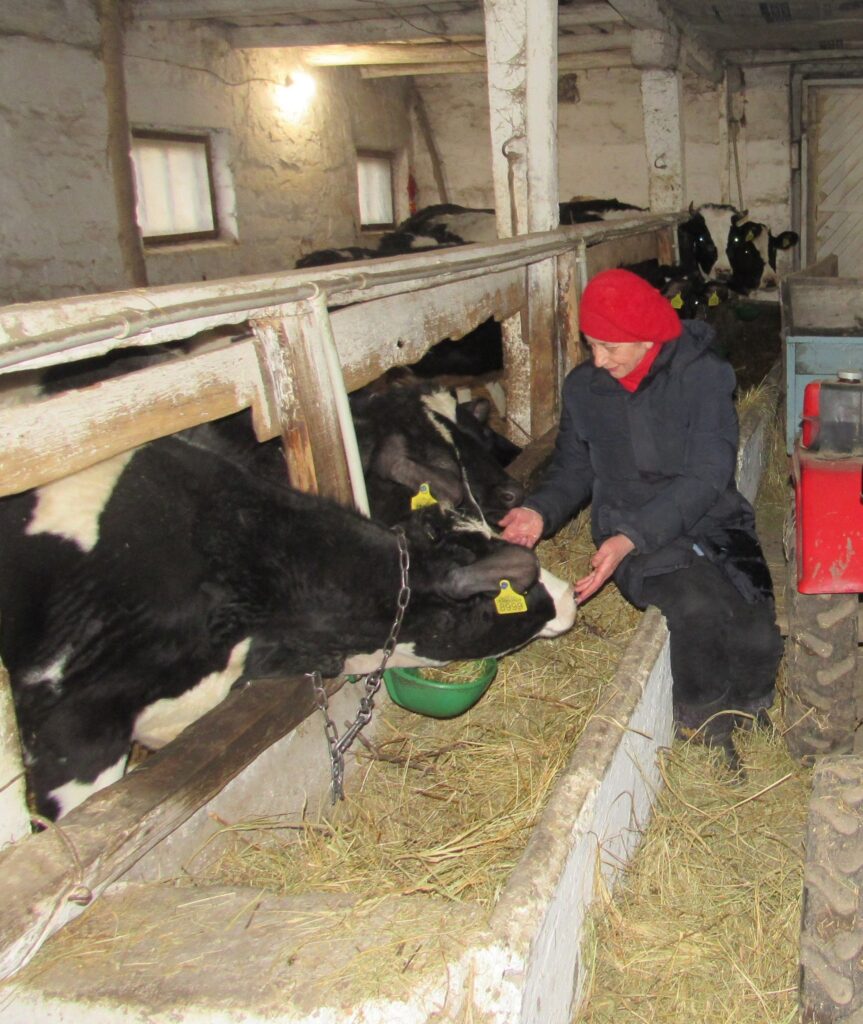 На Полтавщині подружжя пенсіонерів налагоджує виробництво крафтового сиру