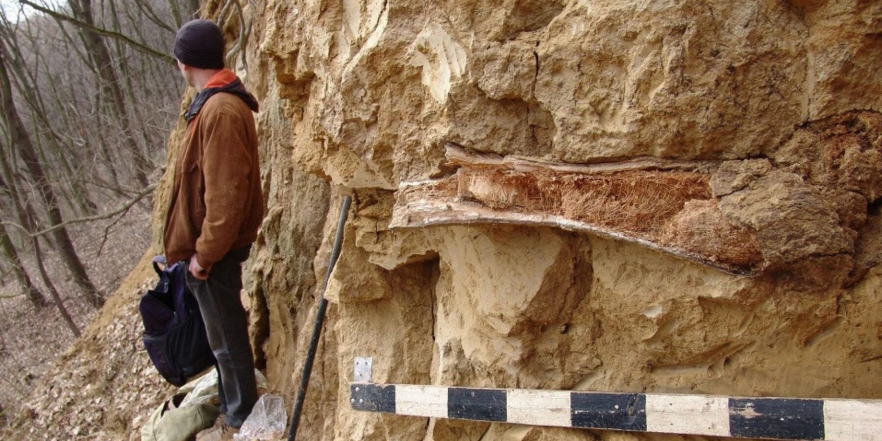 На Івано-Франківщині виявили кістку первісної тварини (фото)