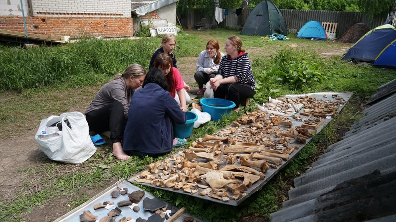На Сумщині студенти-археологи розкопують давнє городище Воргол