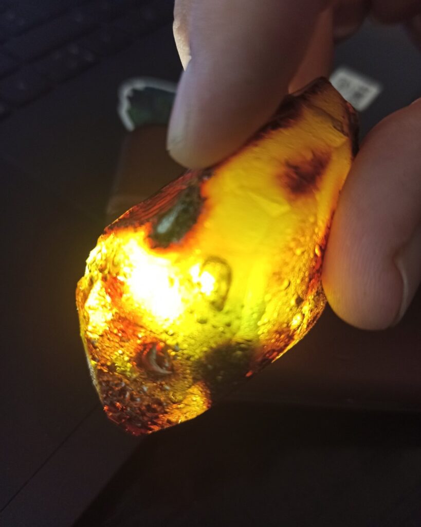 На Рівненщині знайшли бурштин із доісторичною комахою всередині