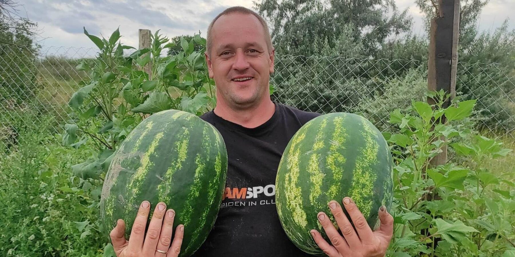 На Черкащині вирощують кавуни за херсонською технологією