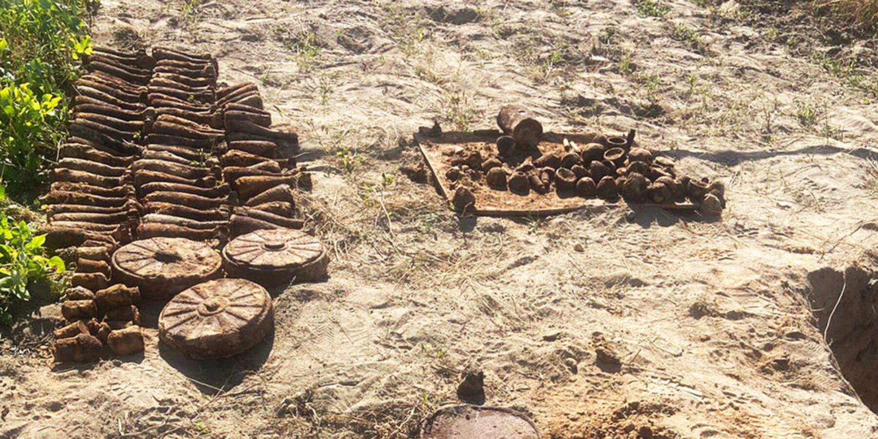 Мешканка Житомира, копаючи картоплю, знайшла 85 мін