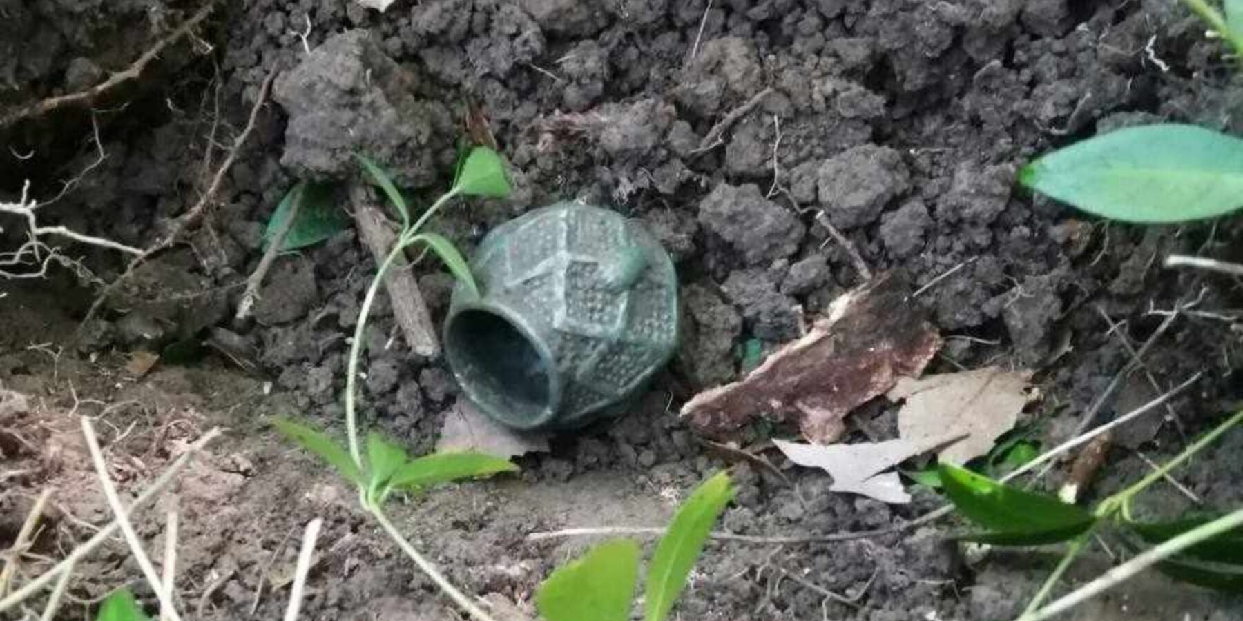 На Тернопільщині знайшли унікальне бронзове навершя булави часів Київської Русі