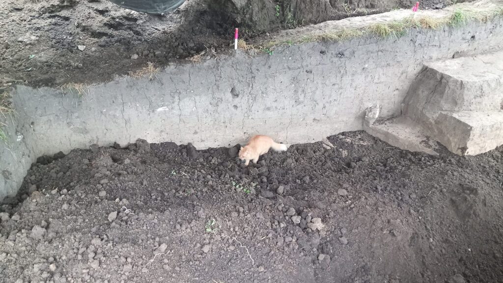 Українські археологи знайшли цікаві артефакти на території заповідника "Давній Пліснеськ"