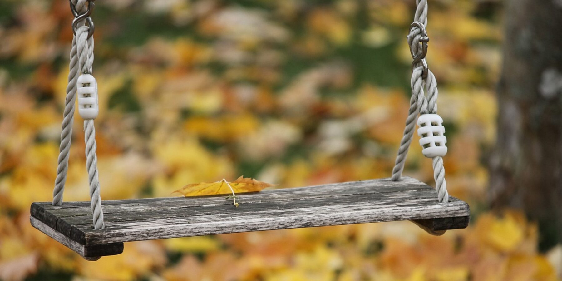 Українські школярі залишаться без осінніх канікул