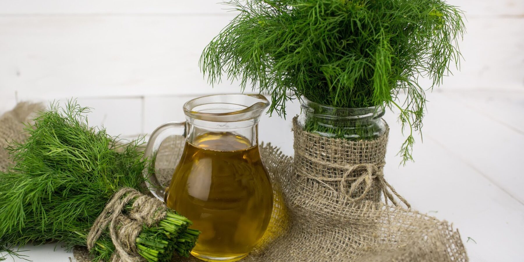 Кріп: ароматне доповнення до страв