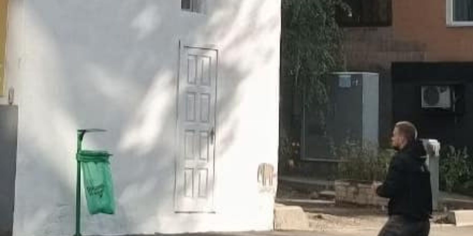 У Харкові позбулися муралів, присвячених Пушкіну