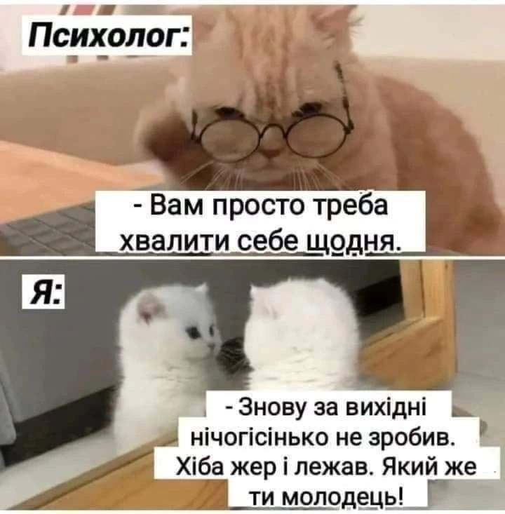 У мережі українці публікують меми про "продуктивні" вихідні