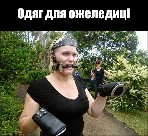 У мережі українці поширюють меми про ожеледицю