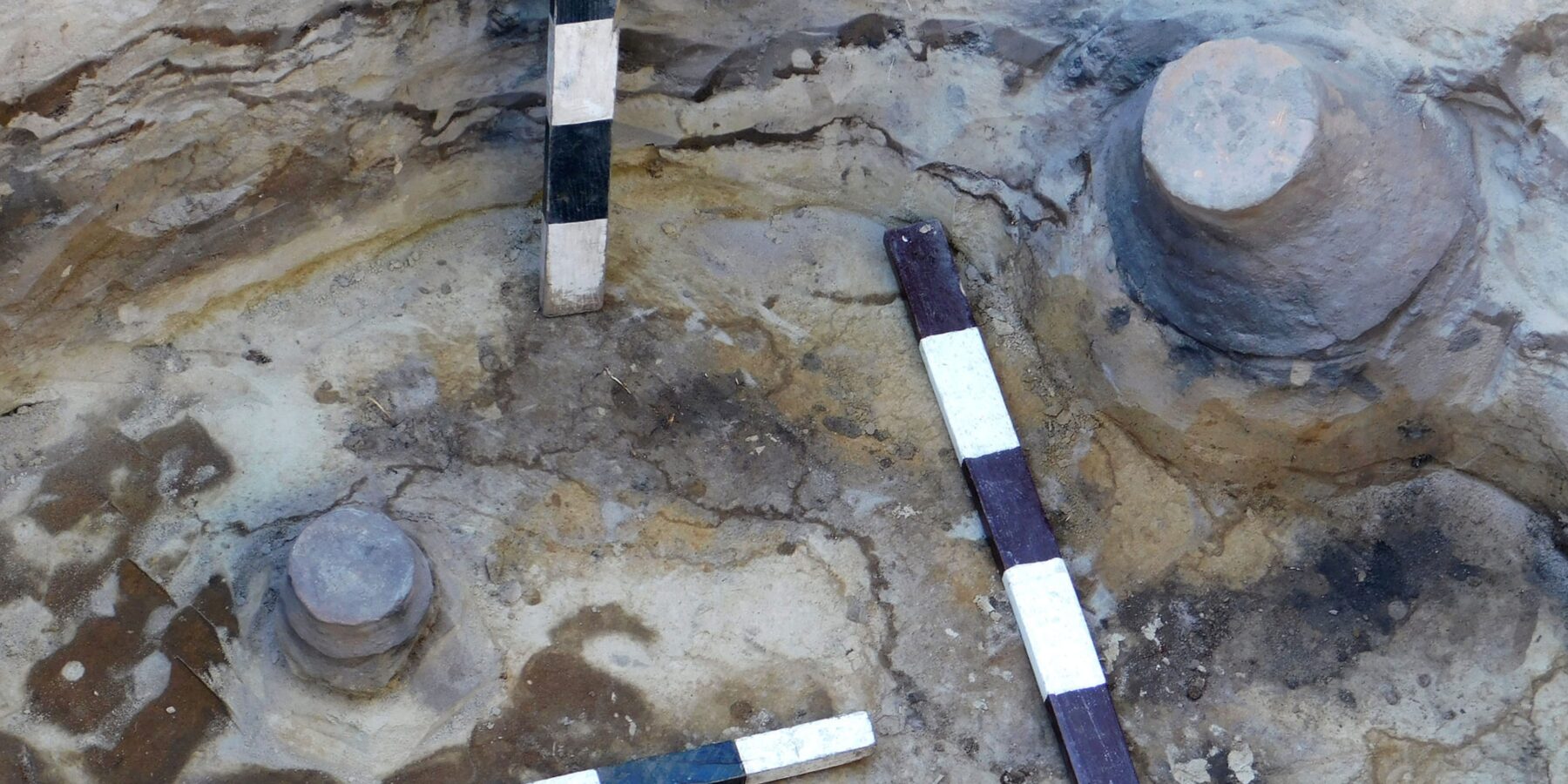 В Україні археологи розкопали поселення бронзового та залізного віків