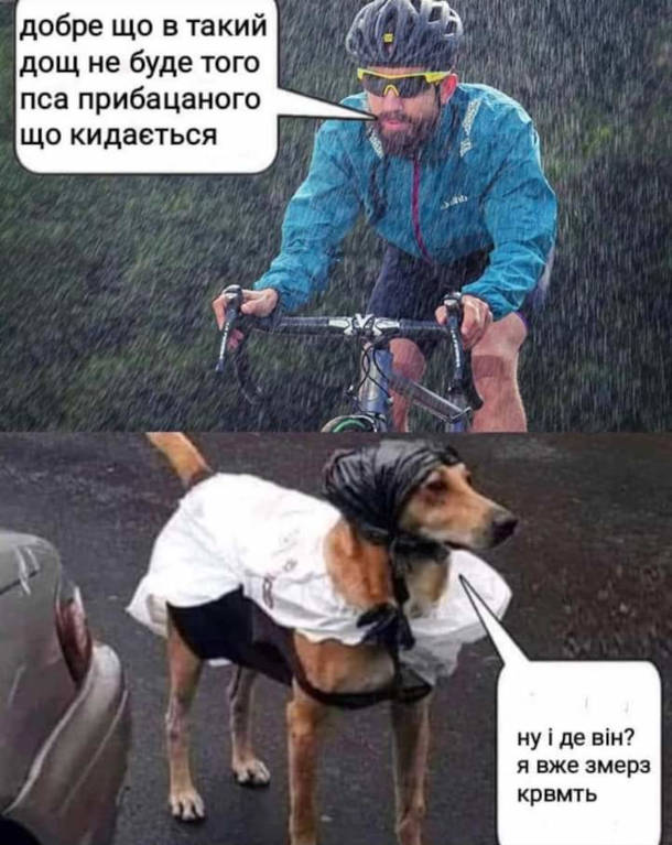 У мережі українці публікують меми про дощ, який прийшов на зміну снігу