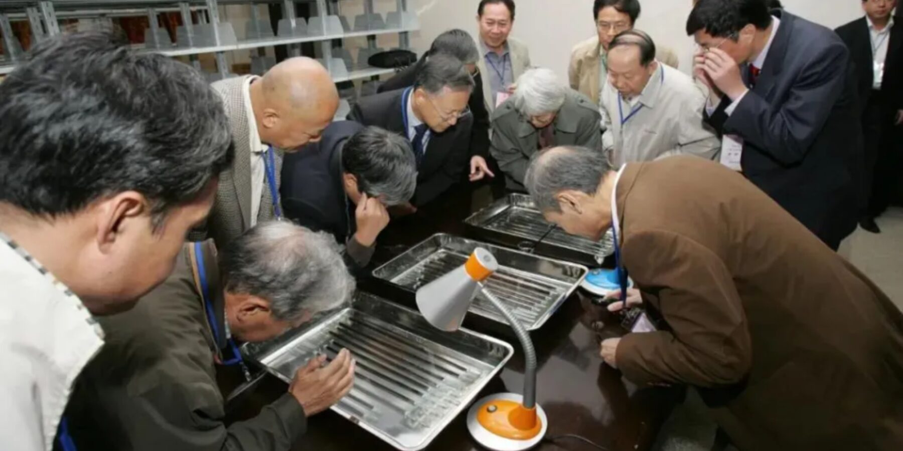 У Китаї розшифрували стародавні ритуали, записані на бамбукових листах віком 2000 років