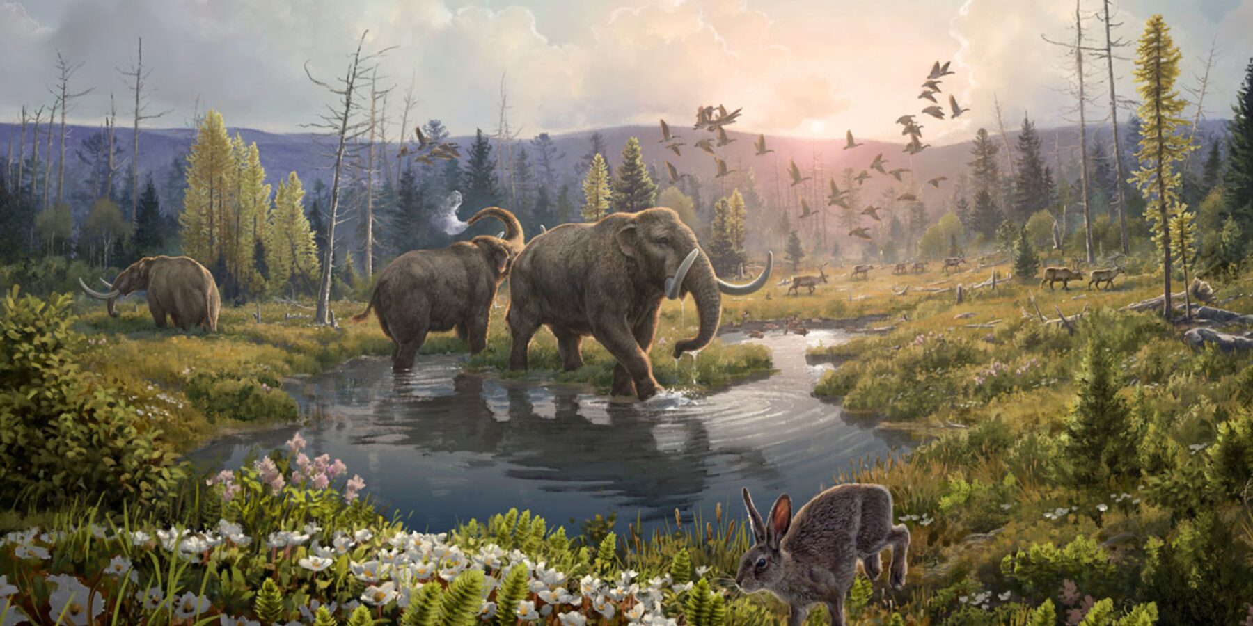 У Гренландії науковці відтворили стародавню екосистему, використовуючи ДНК віком 2 млн років