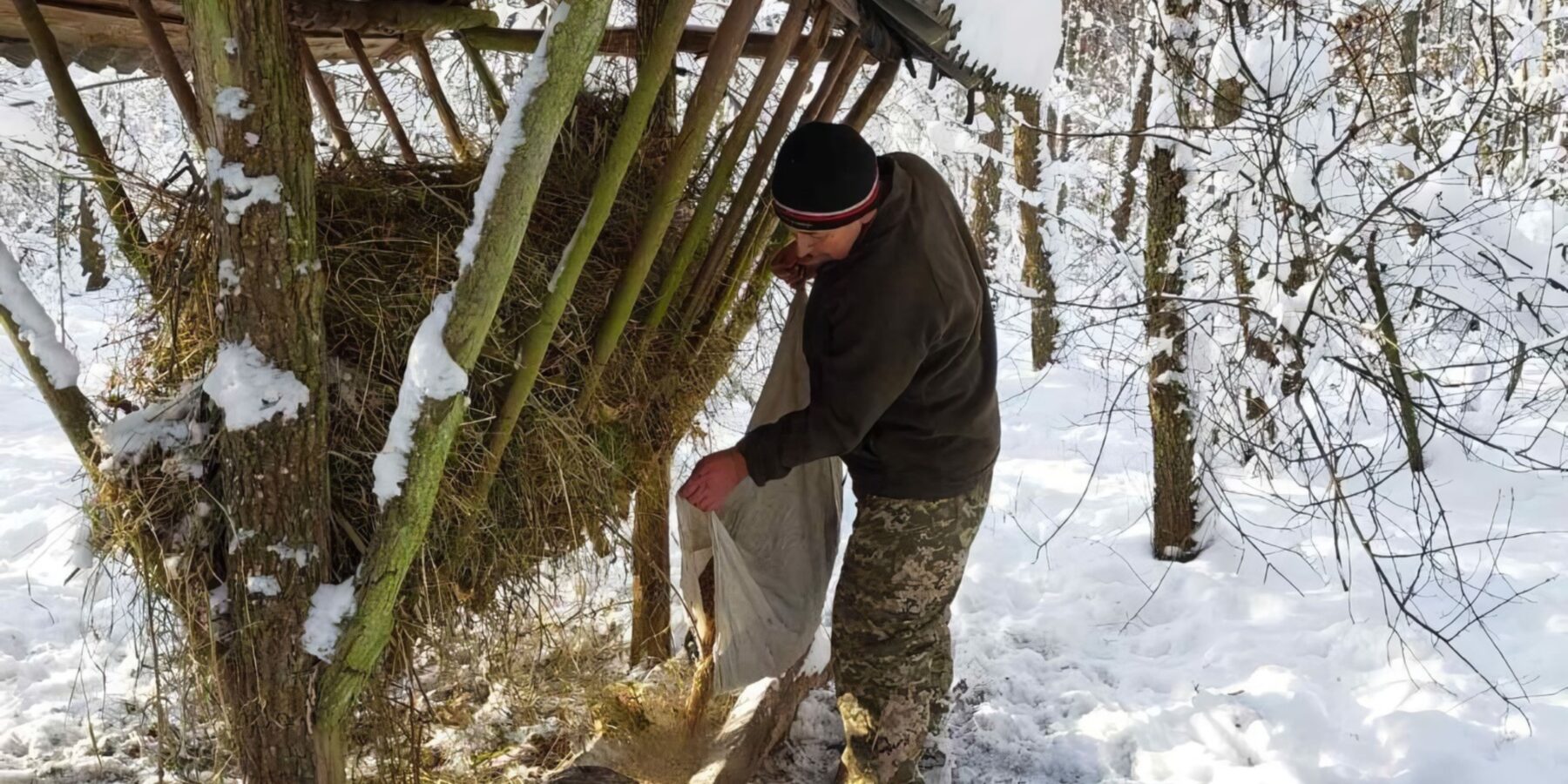 На півночі України розпочали зимову підгодівлю диких тварин