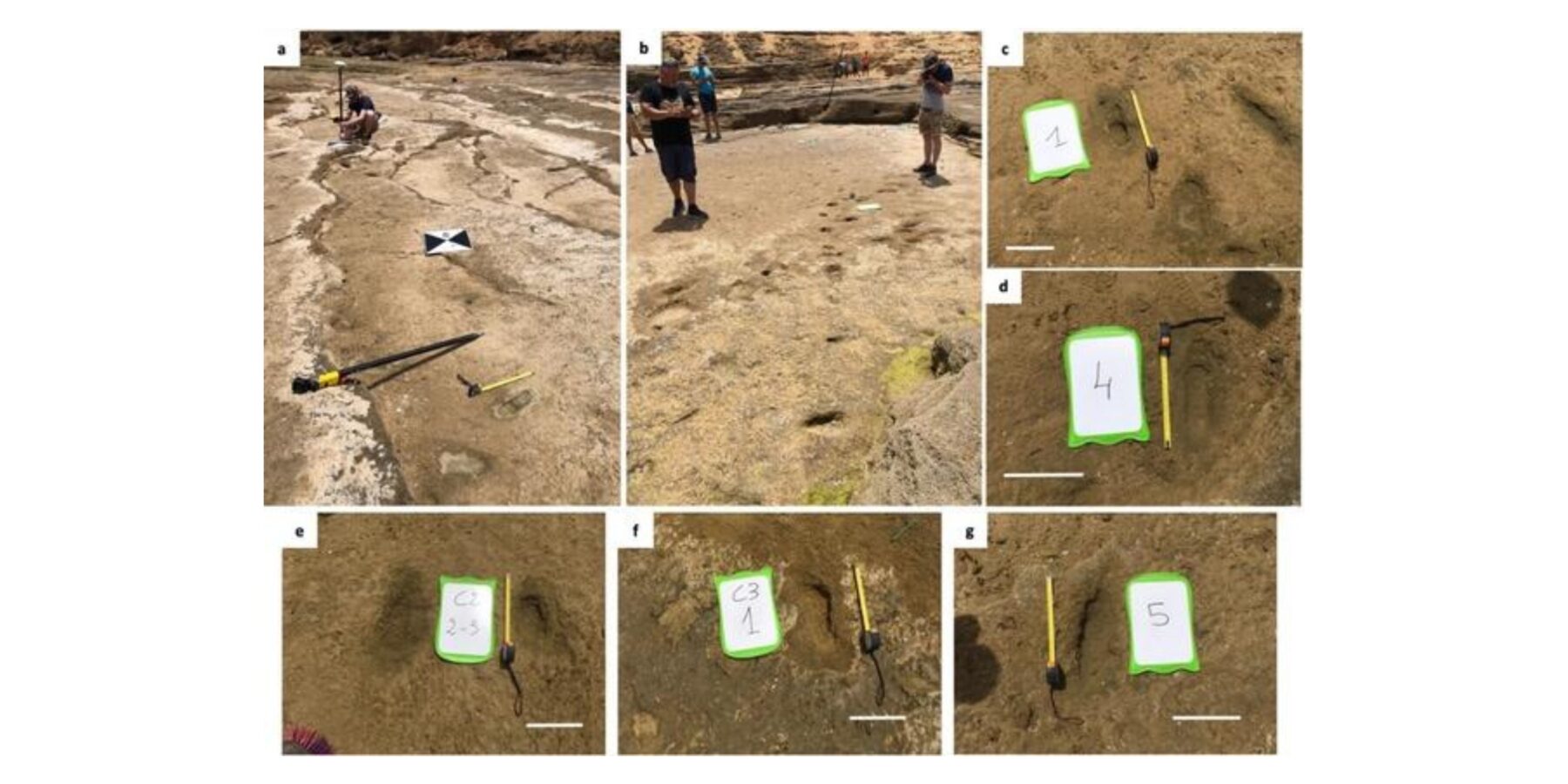 У Марокко археологи знайшли сліди людських ніг віком понад 90 тисяч років