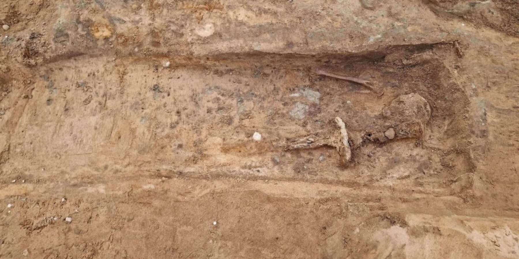 У Швеції знайшли велетенський середньовічний меч