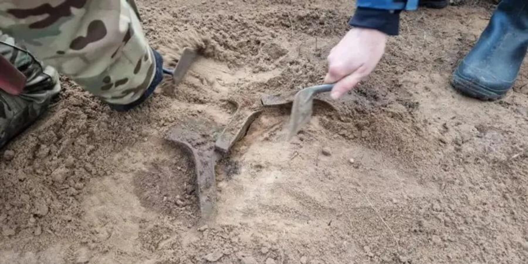 У Польщі археолог-аматор знайшов рідкісні ритуальні сокири бронзового віку