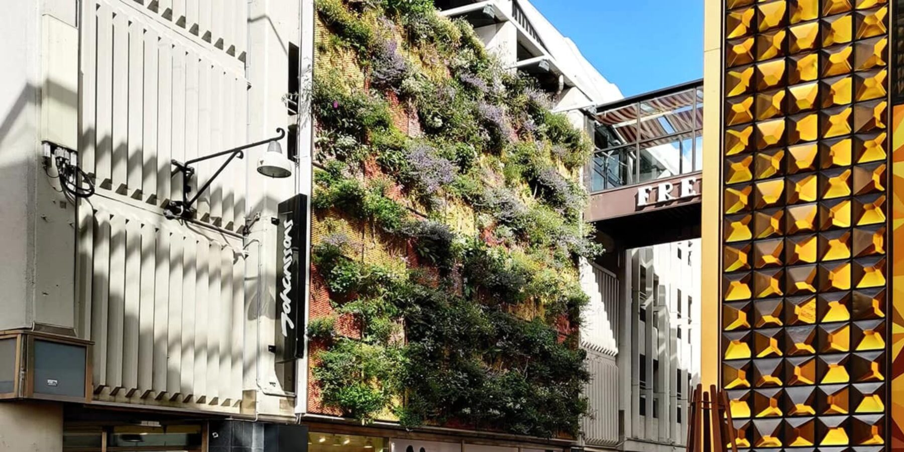 У Києві працюють над створенням “живої” стіни