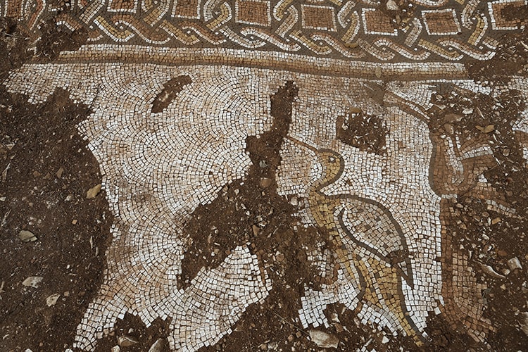 У Туреччині археологи виявили унікальну мозаїку римської епохи