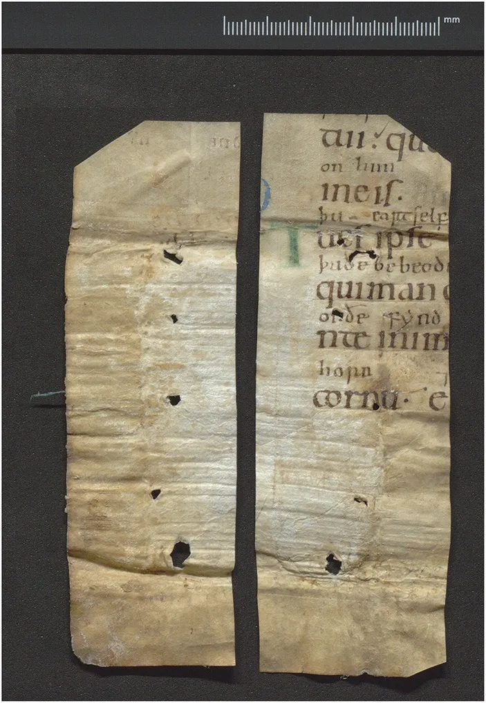 У Нідерландах знайшли рукописну книгу псалмів ХІ століття, яка належала принцесі-втікачці