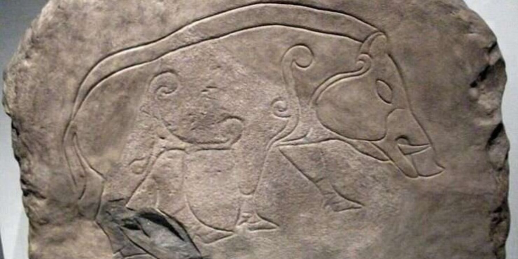 В Австралії розшифрували наскельні малюнки віком 15 тисяч років