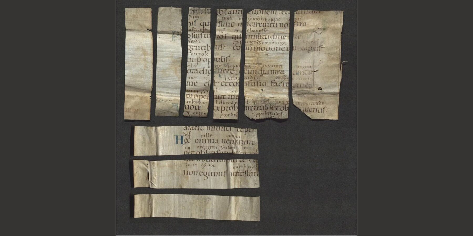 У Нідерландах знайшли рукописну книгу псалмів ХІ століття, яка належала принцесі-втікачці