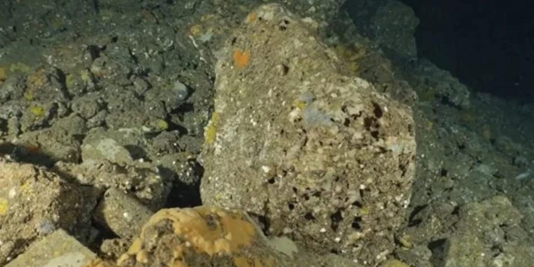 В Італії знайшли імператорський німфей віком понад 2000 років