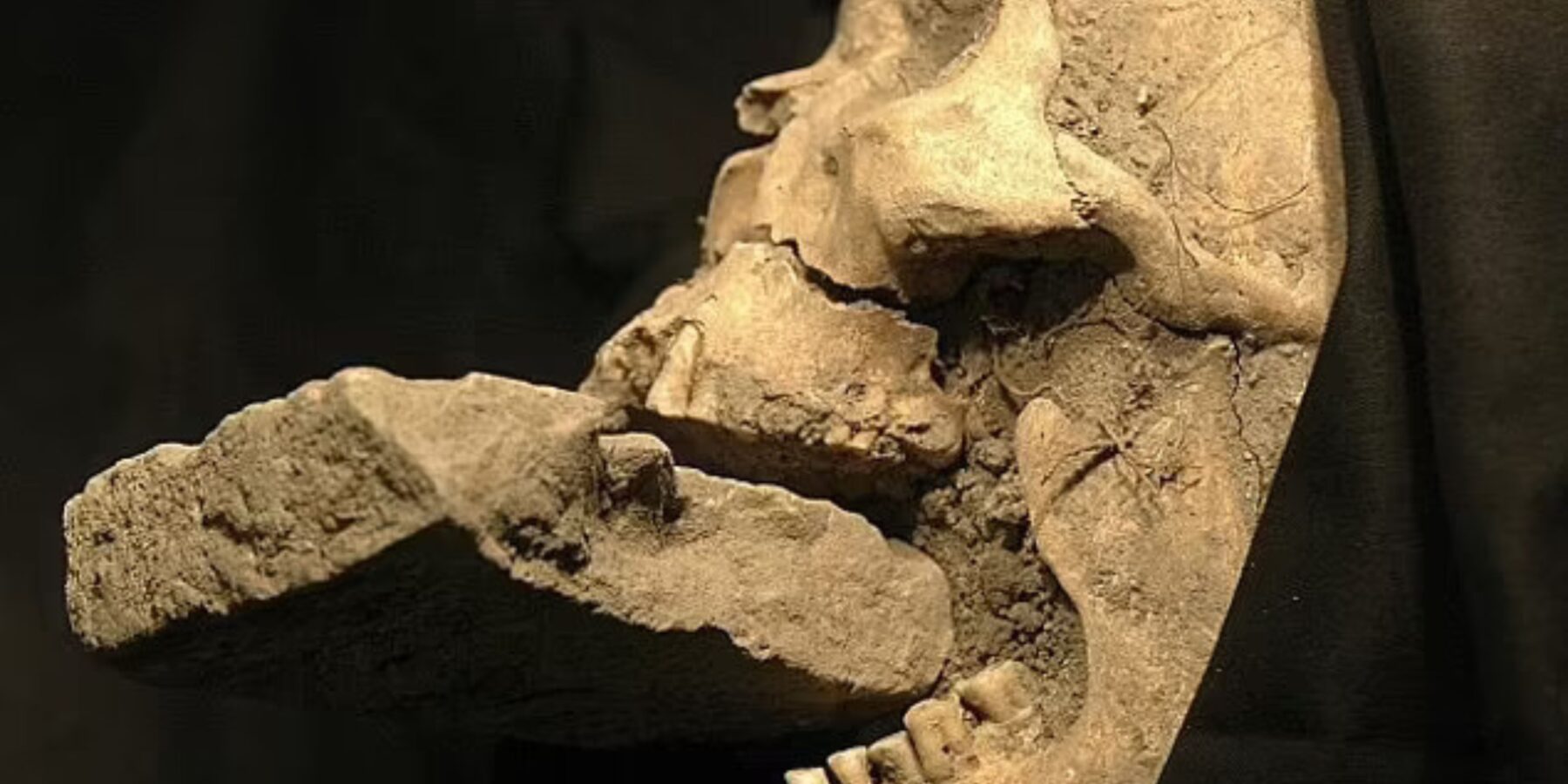 Вчені реконструювали обличчя італійського вампіра XVI століття, похованого з цеглою в роті Вчені реконструювали обличчя італійського вампіра XVI століття, похованого з цеглою в роті