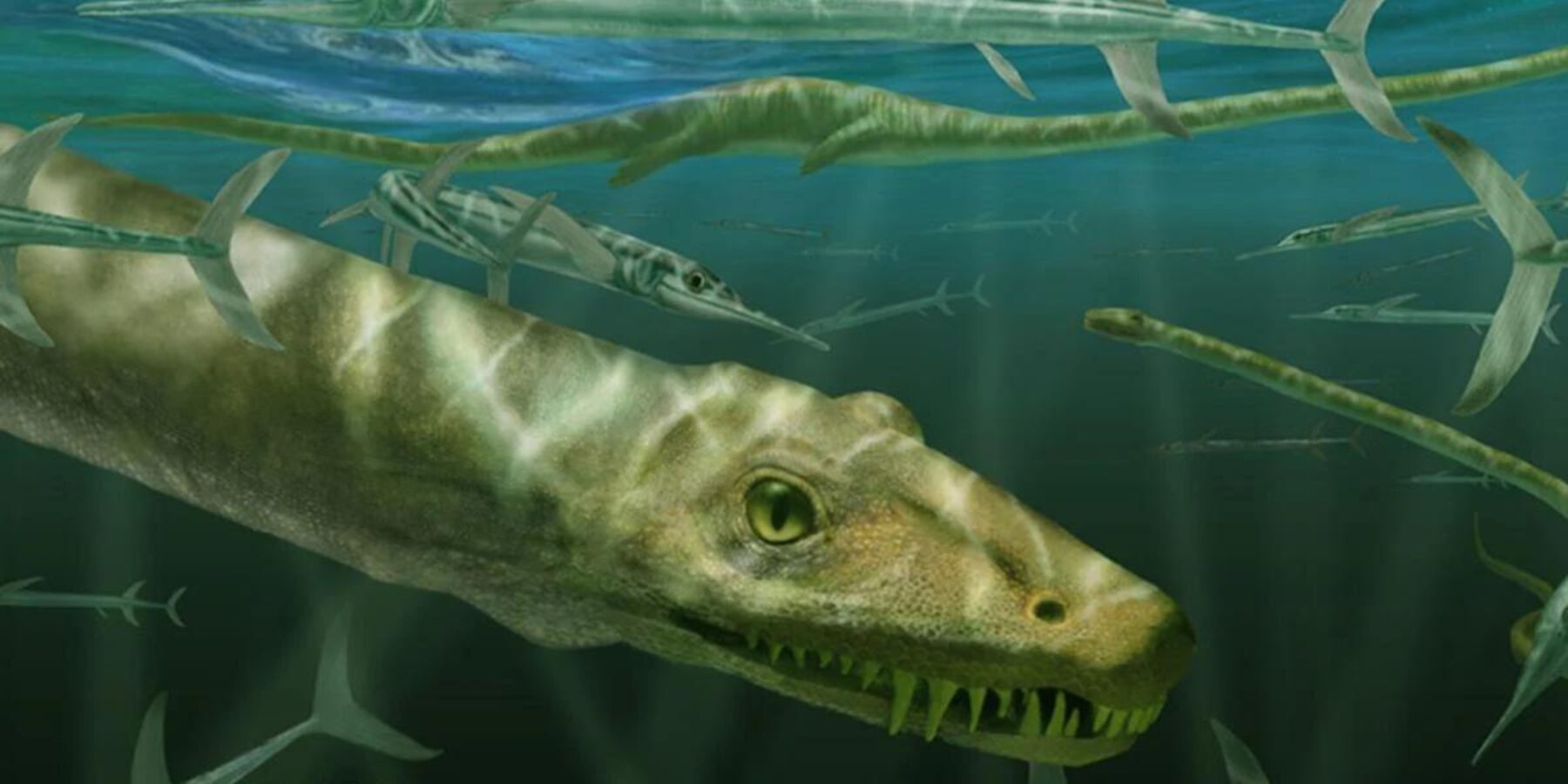 Вчені відтворили "китайського дракона", який жив 240 мільйонів років тому