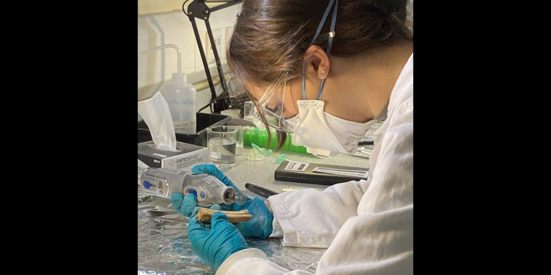 У Великобританії знайшли середньовічне кладовище елітних коней