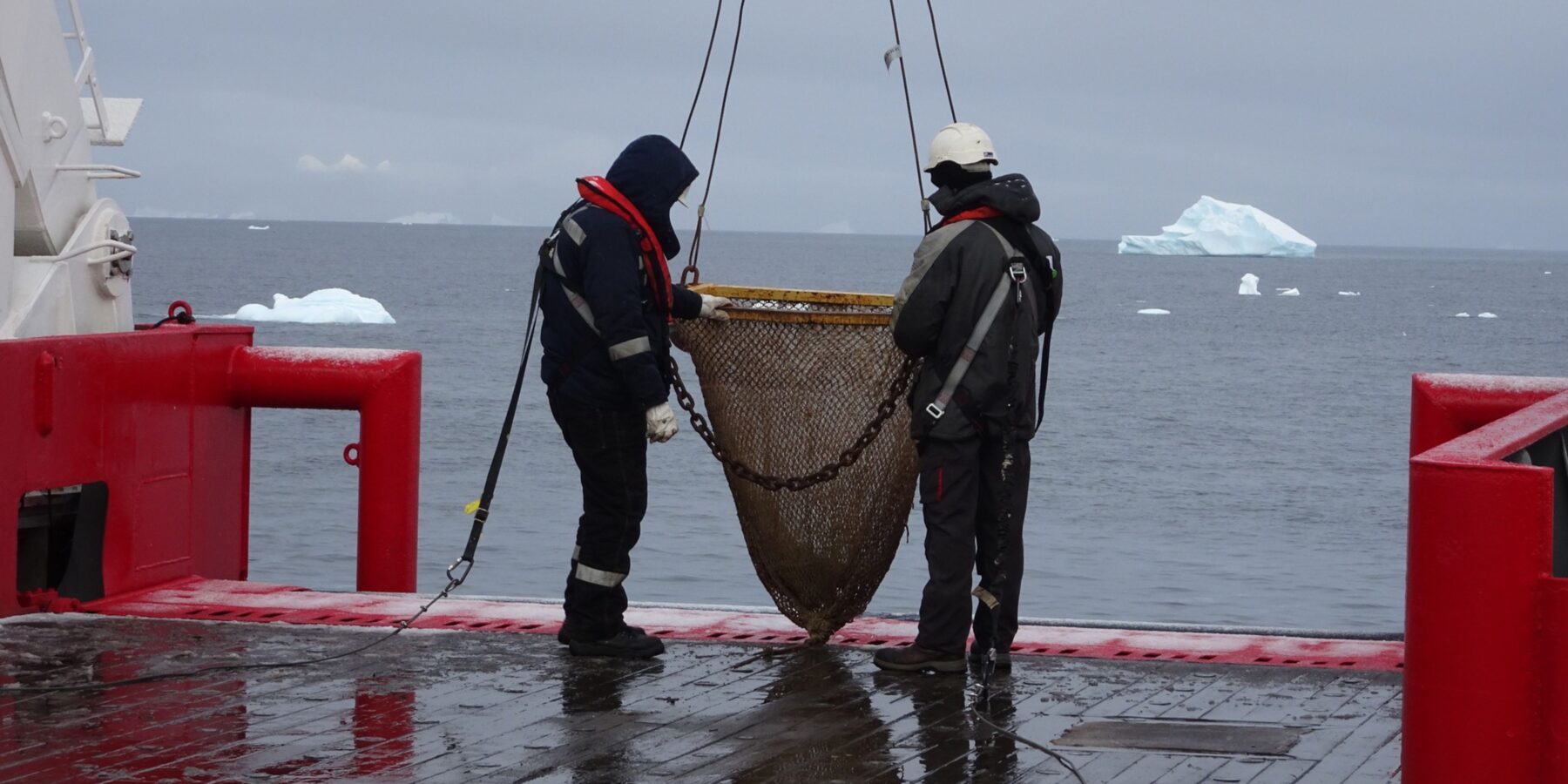 Українські та польські науковці вперше відібрали зразки морської фауни з дна Південного океану