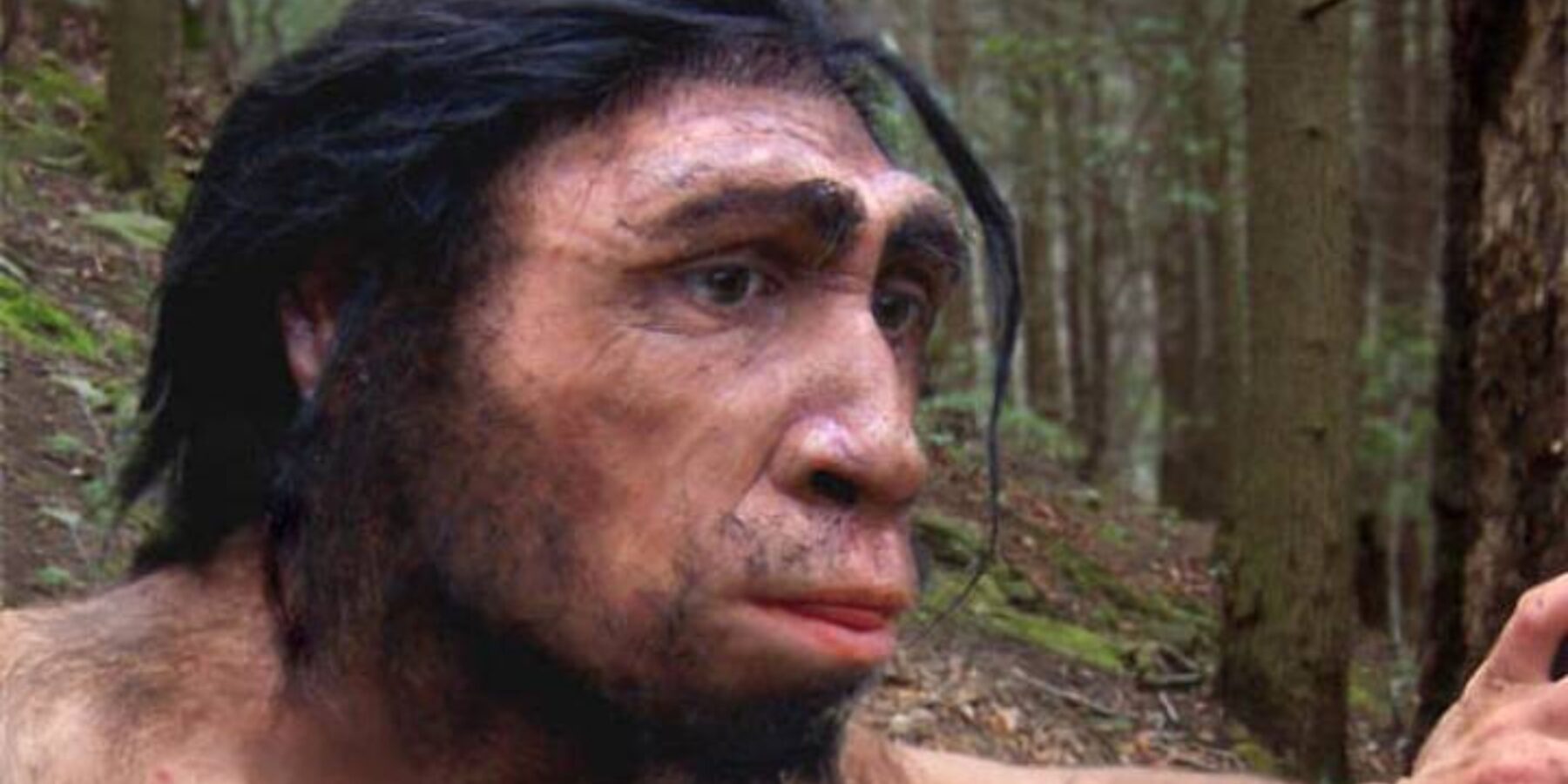 У Кенії знайшли найдавніші скам’янілості Homo erectus, яким 2 млн років