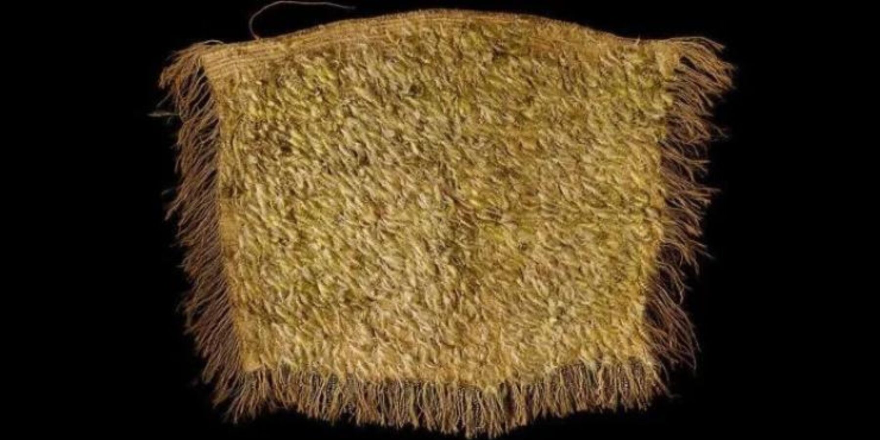 Вчені відреставрували плащ маорі, прикрашений пір’ям зникаючого птаха