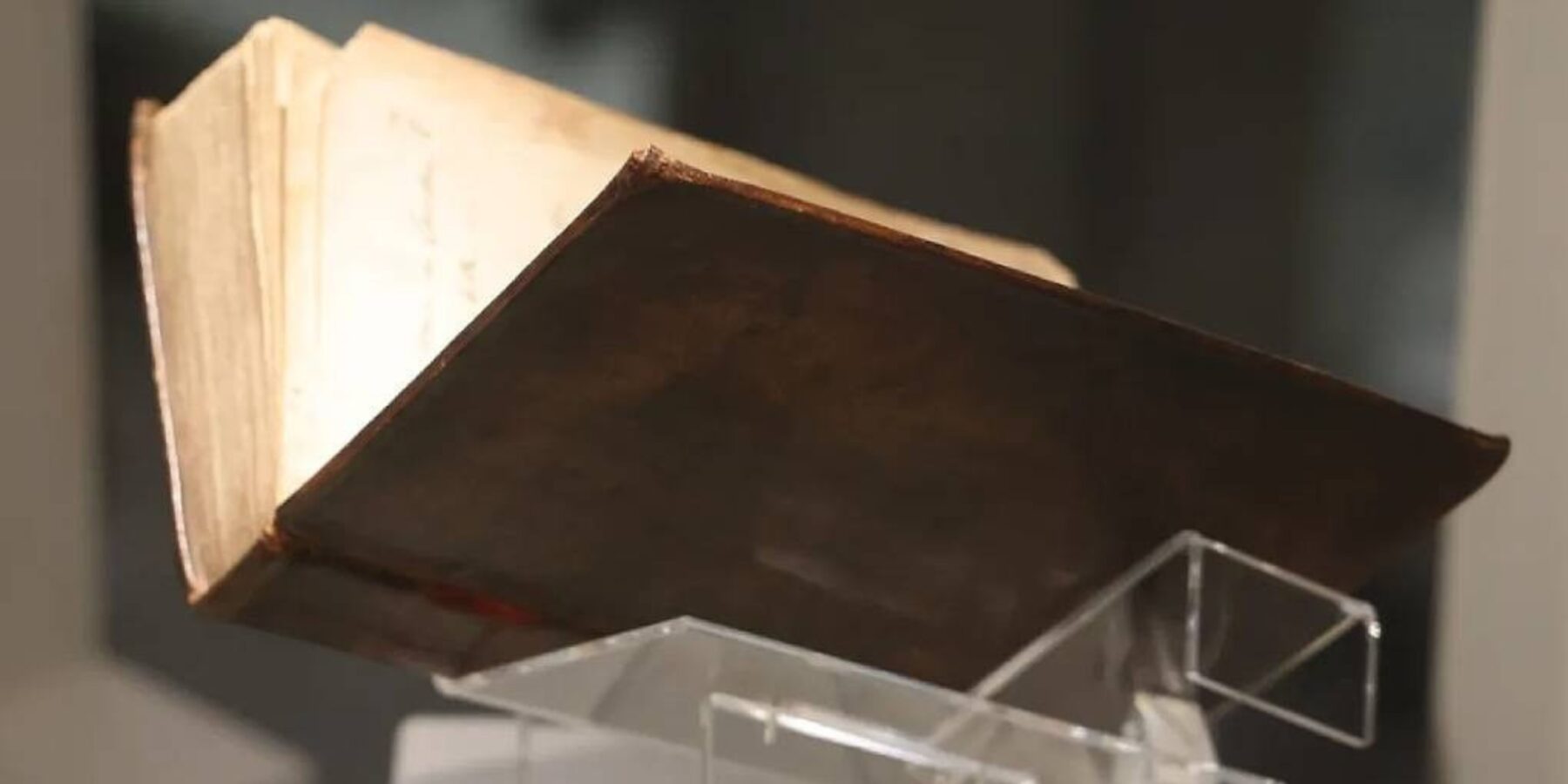 Гарвард вилучив зі своєї бібліотеки книгу, загорнуту в людську шкіру