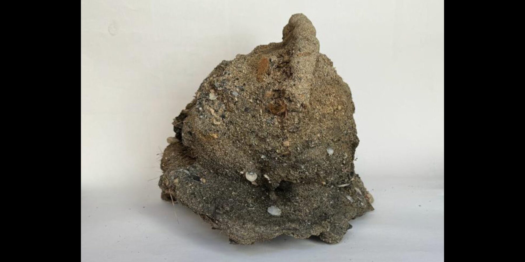 На Сицилії знайшли іберійський шолом, який за 500 років перетворився на камінь