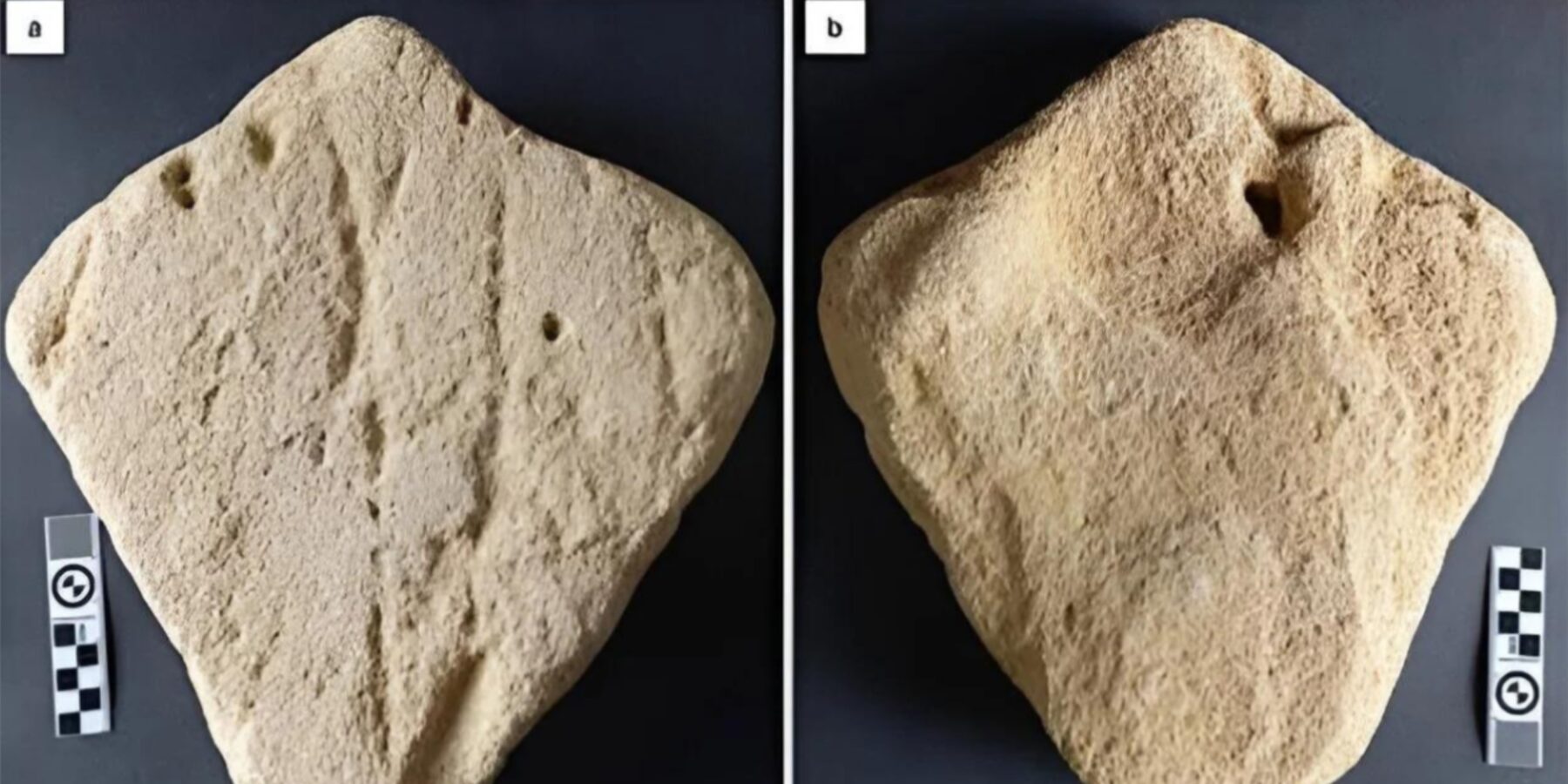 На узбережжі Південної Африки знайшли 130000-річну піщану скульптуру у вигляді ската