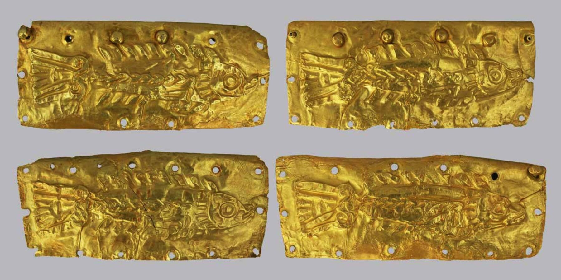Українські науковці показали скіфські золоті прикраси із зображенням риби