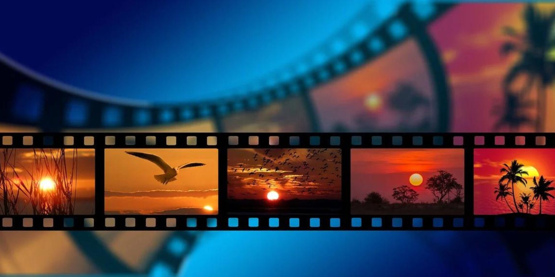 Штучний інтелект назвав п’ятірку знакових українських фільмів