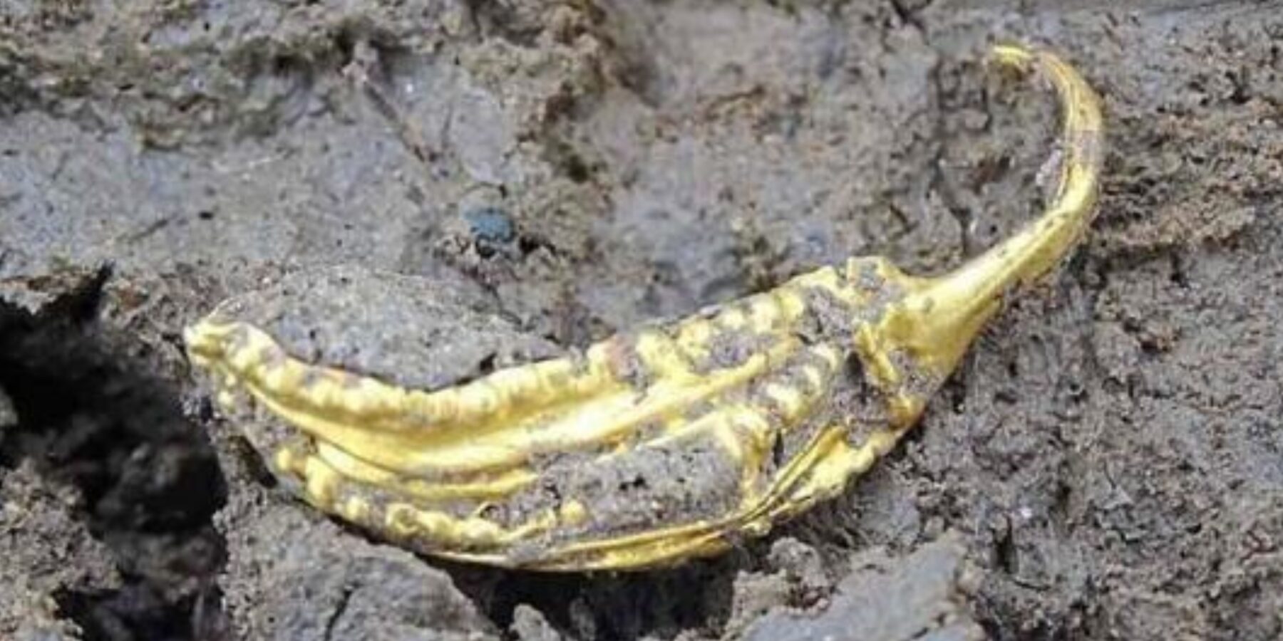 У Німеччині знайшли поховання “мера” поселення часів неоліту