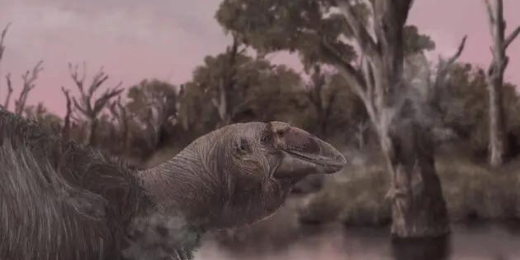 В Австралії знайшли рештки гігантського птаха, який вимер 45000 років тому