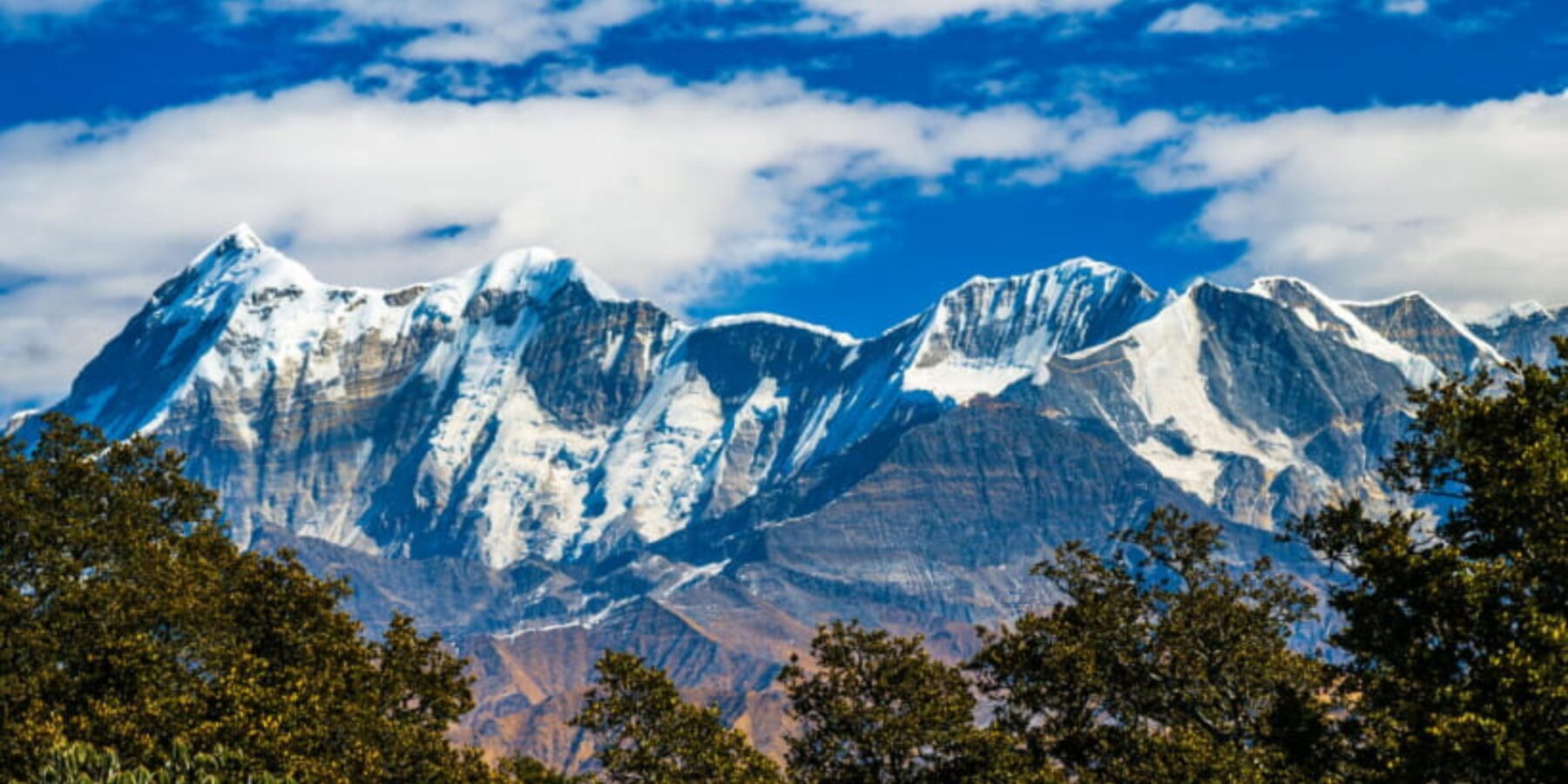 У Гімалаях вперше зафіксували істоту, пов’язану з легендою про снігову людину