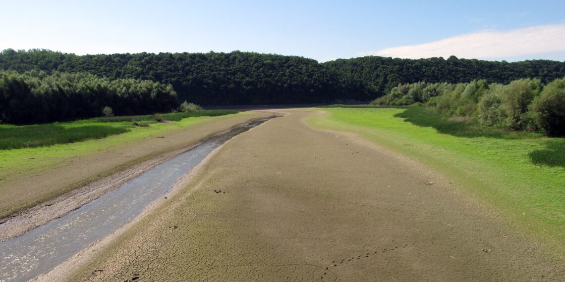На дні Дністровського водосховища знайшли рідкісні артефакти