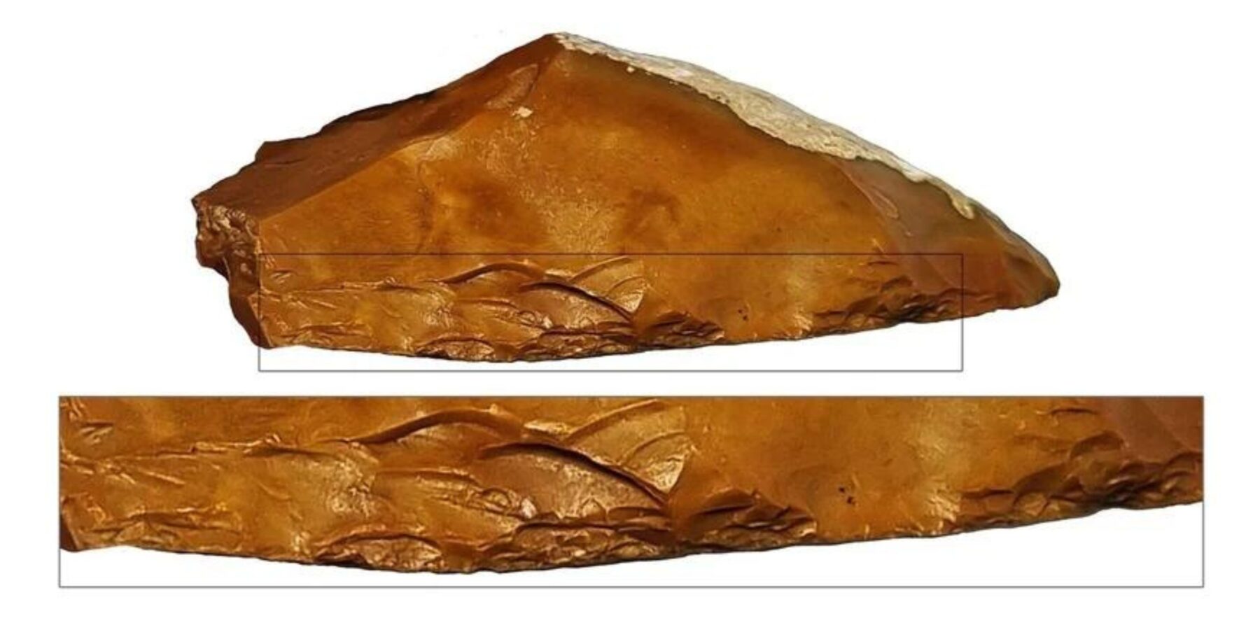 В Ізраїлі знайшли унікальні мисливські знаряддя для обробки ланей віком 400 тисяч років