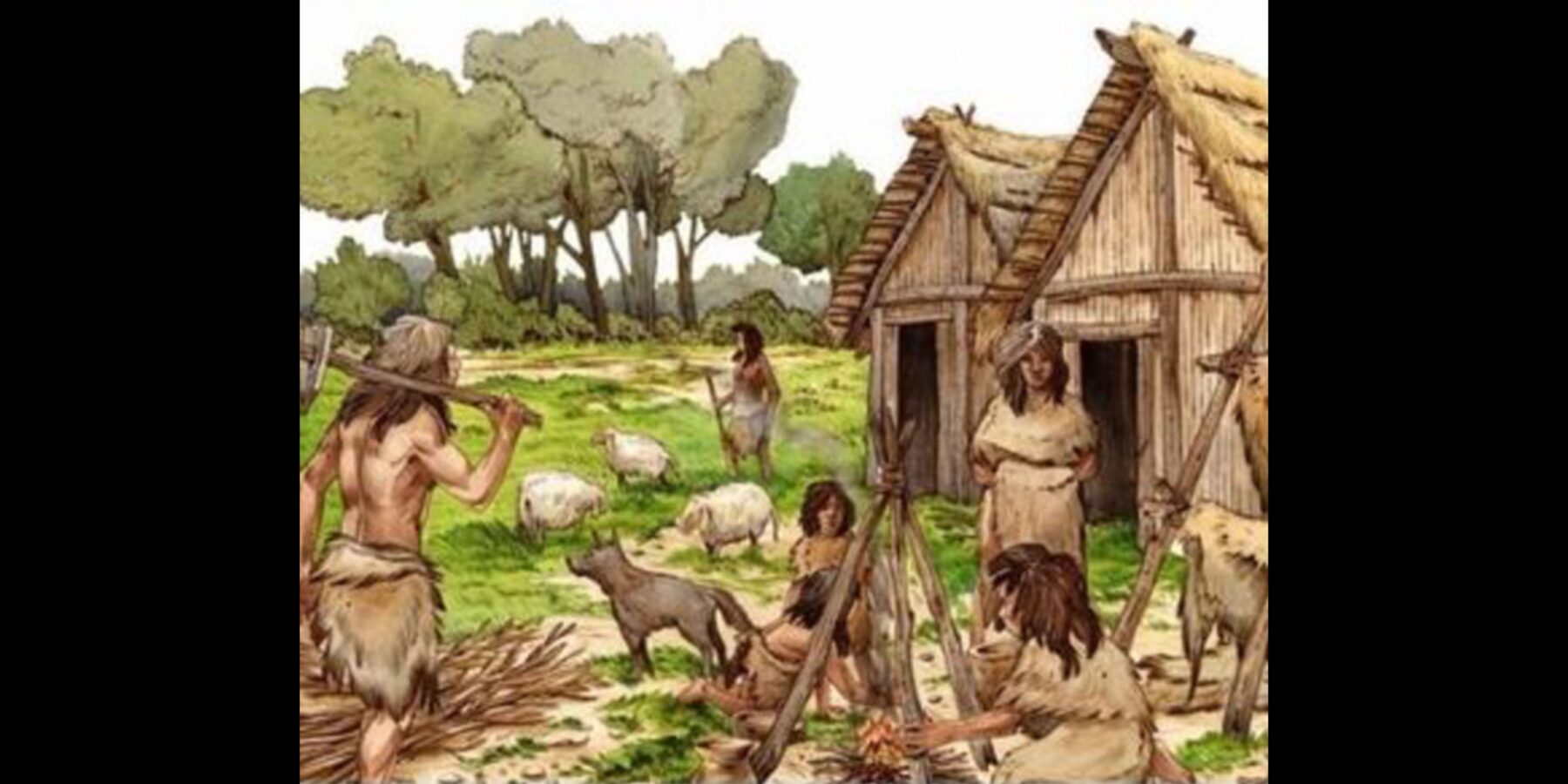 Науковці встановили справжню причину занепаду неоліту в Європі