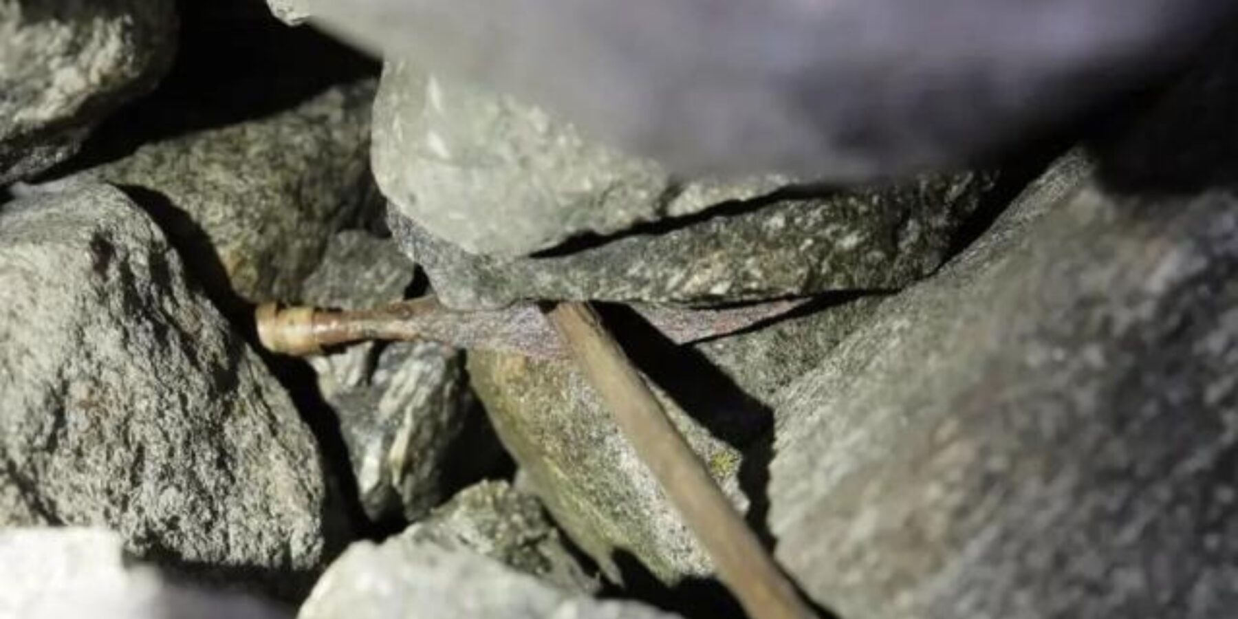 У Норвегії знайшли вістря стріли епохи вікінгів