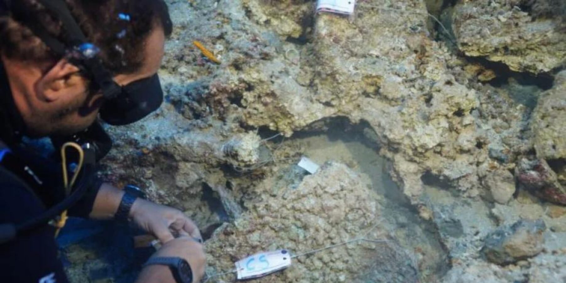 Біля узбережжя Анталії знайшли бронзовий кинджал мінойської цивілізації