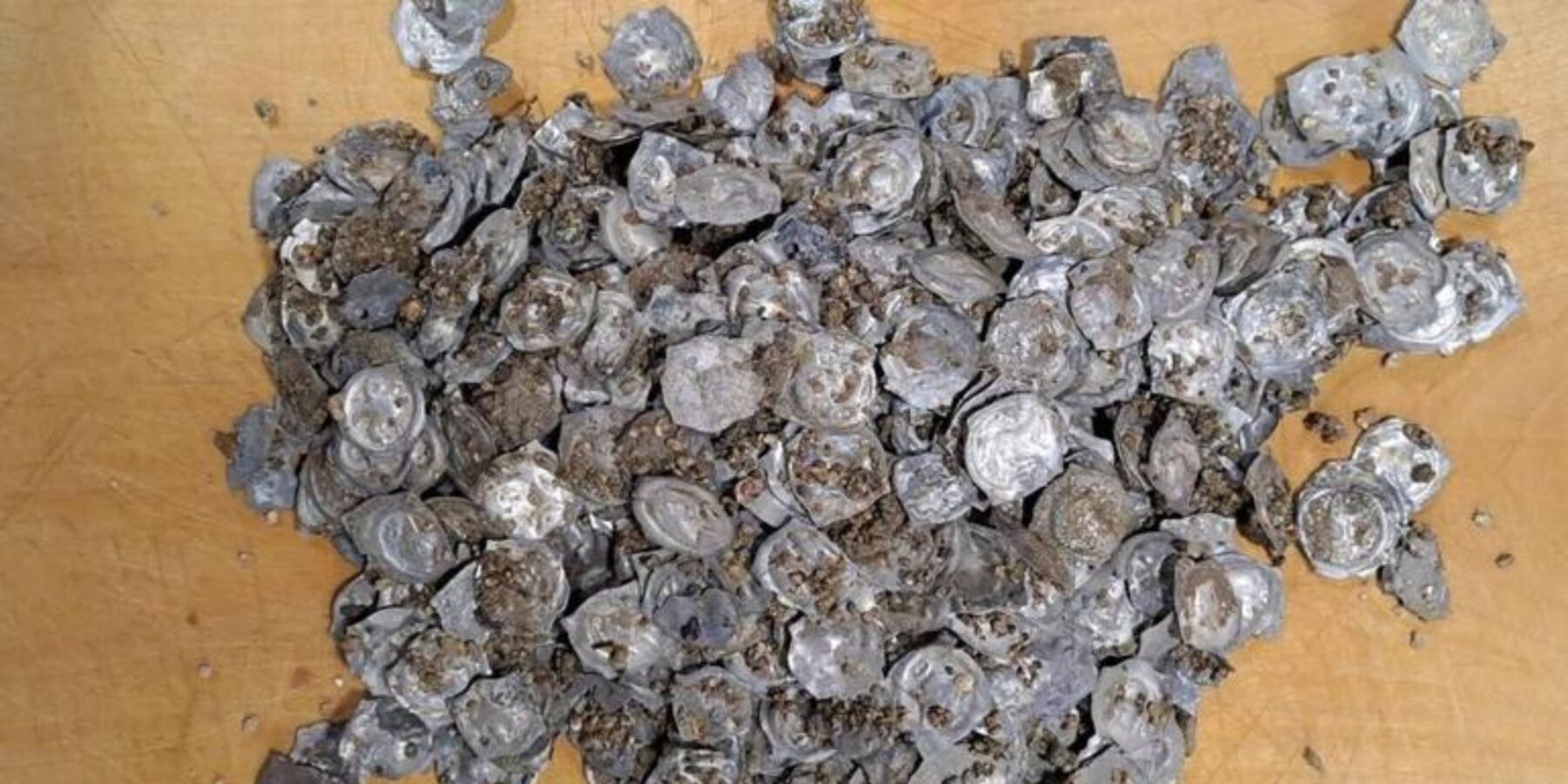 У Німеччині знайшли один з найбільших скарбів Середньовіччя