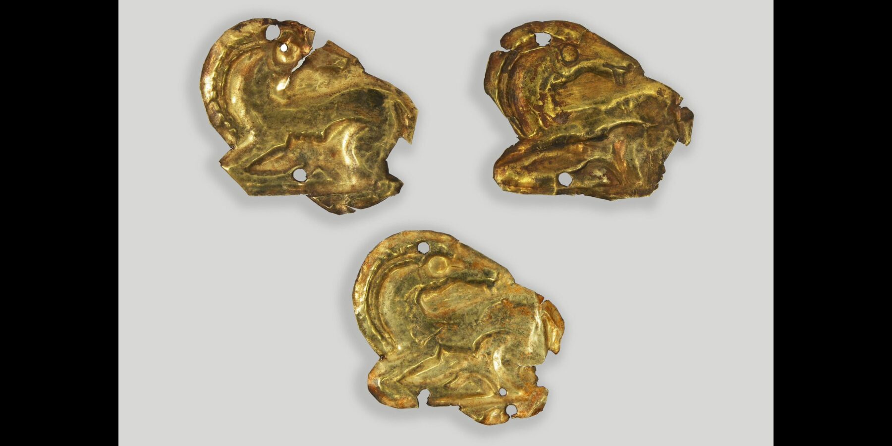 Українські науковці показали скіфські золоті пластини із зображенням диких козлів
