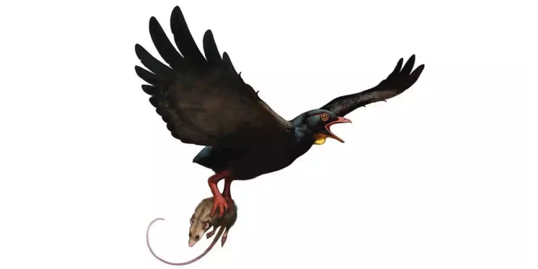 Науковці виявили нові види хижих птахів, які жили поруч із тиранозаврами