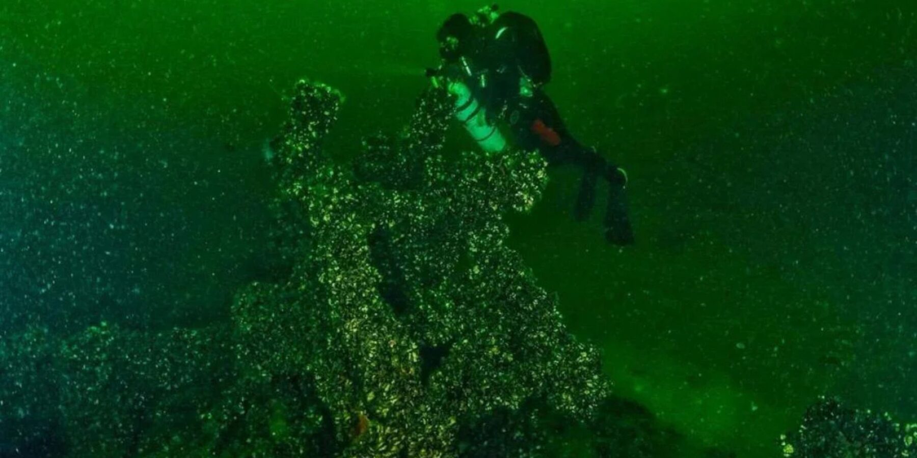 На дні Балтійського моря знайшли евакуаційний пароплав часів Другої світової війни